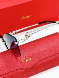 Picture of Cartier Sunglasses _SKUfw79568536fw